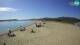 Olbia (Sardinien) 12.07.2025 09:25