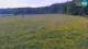 Medvode 12.05.2025 09:26