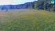 Medvode 29.04.2025 09:26