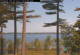 Windham, Maine 15.06.2025 09:26