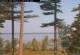 Windham, Maine 15.07.2025 09:31