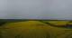 Cape Arkona 30.04.2025 09:27