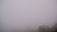 Lourdes 12.06.2025 09:27