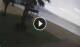 Nees Pagases 30.04.2025 09:28