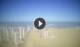 Tirrenia 09.07.2025 09:27