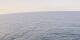 AIDAbella 03.07.2025 09:49