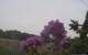 Montbliart 09.06.2025 09:28