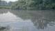 Les Landes-Genusson 15.06.2025 09:28