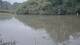 Les Landes-Genusson 01.07.2025 09:28