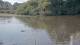 Les Landes-Genusson 14.07.2025 09:32