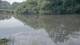 Les Landes-Genusson 12.06.2025 09:28
