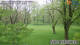 Husum 30.04.2025 09:30