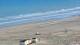 De Panne 03.07.2025 09:28