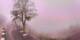 Lourdes 02.07.2025 09:28