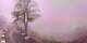 Lourdes 14.06.2025 09:28
