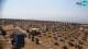Bibione 30.04.2025 09:29