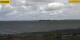 Gold auf Fehmarn 09.06.2025 09:29