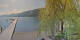 Annenheim 20.05.2025 09:49