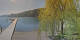 Annenheim 20.05.2025 09:49