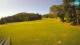 Sorica 15.06.2025 09:29