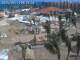 Oranjestad 11.05.2025 09:29