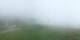Prarion 07.07.2025 09:22