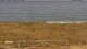 El Palmar de Vejer 15.07.2025 09:33