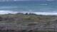 El Palmar de Vejer 29.04.2025 09:30