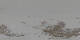 St. Moritz 20.04.2025 09:29