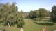Steinbrunn 09.06.2025 09:30