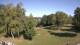 Steinbrunn 14.06.2025 09:30