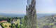Kitzeck im Sausal 15.06.2025 09:30