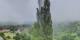 Kitzeck im Sausal 09.06.2025 09:30