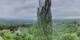 Kitzeck im Sausal 25.04.2025 09:31