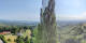 Kitzeck im Sausal 12.06.2025 09:30
