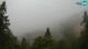 Kranjska Gora 09.06.2025 09:30