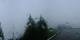 Rickenbach 08.07.2025 09:28