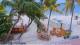 Philipsburg, Sint Maarten 14.06.2025 09:31
