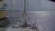 Le Ponant 05.05.2025 09:31