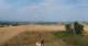 Schallodenbach 15.07.2025 09:34
