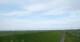 Westerhever 15.06.2025 09:31