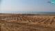 Bibione 01.05.2025 09:32