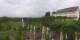 Herrnchiemsee 08.06.2025 09:30