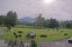 Kitzbühel 09.07.2025 09:32