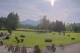 Kitzbühel 15.06.2025 09:32