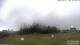 Burnt Pine (Norfolk Island) 02.07.2025 09:32