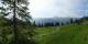 Luchsingen 15.06.2025 09:31