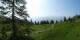 Luchsingen 09.06.2025 09:31