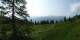 Luchsingen 09.06.2025 09:31