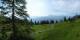 Luchsingen 15.06.2025 09:31